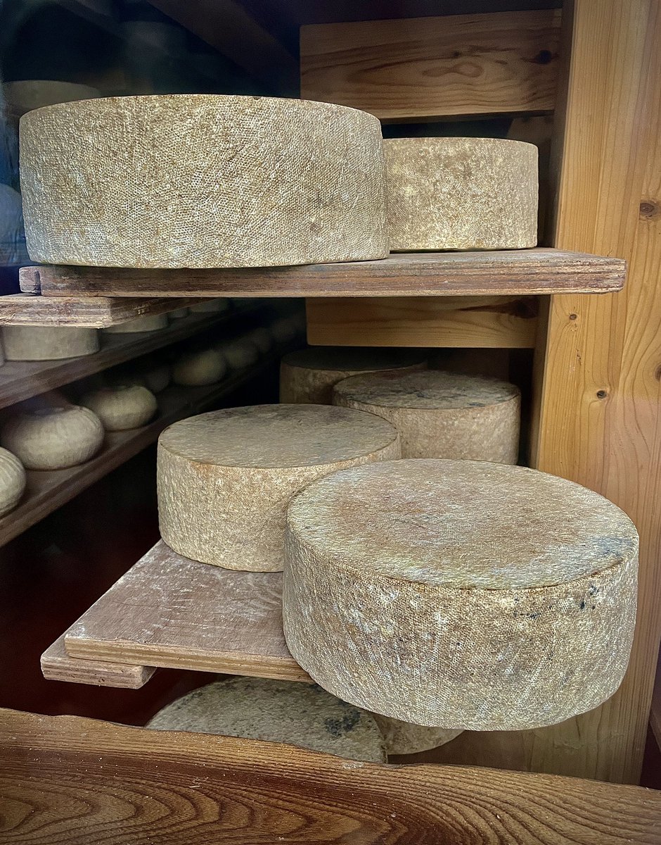 Berwickshire1st's tweet photo. An utter priveledge to spend afternoon @theethicaldairy with farmer David Finlay hearing of their journey from high intervention, to #organic, to #netzero farming & innovative #cowwithcalf high welfare veal…& stunning cheese too!
Recommended if yr interested in your food/planet https://t.co/DSMn7gdaVC