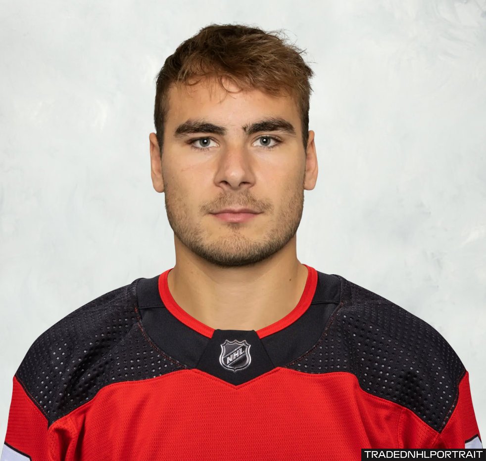 TradedNHLPortrait tweet media