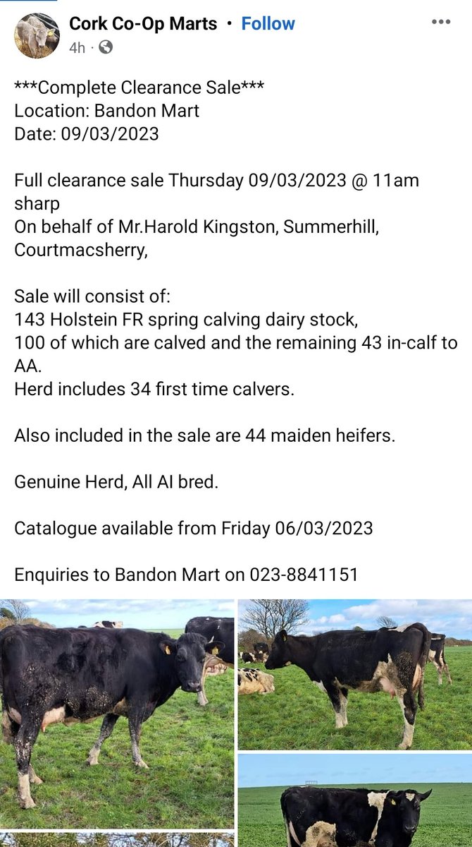 Few changes planned around here. RTs appreciated 🐄🐄🐄🐄🐄🐄
#grasstomilk ➡️ #grasstocontractrearing
<a href="/CorkMarts/">Cork Co-op Marts Ltd</a> <a href="/marteye1/">MartEye</a>
 m.facebook.com/story.php?stor…