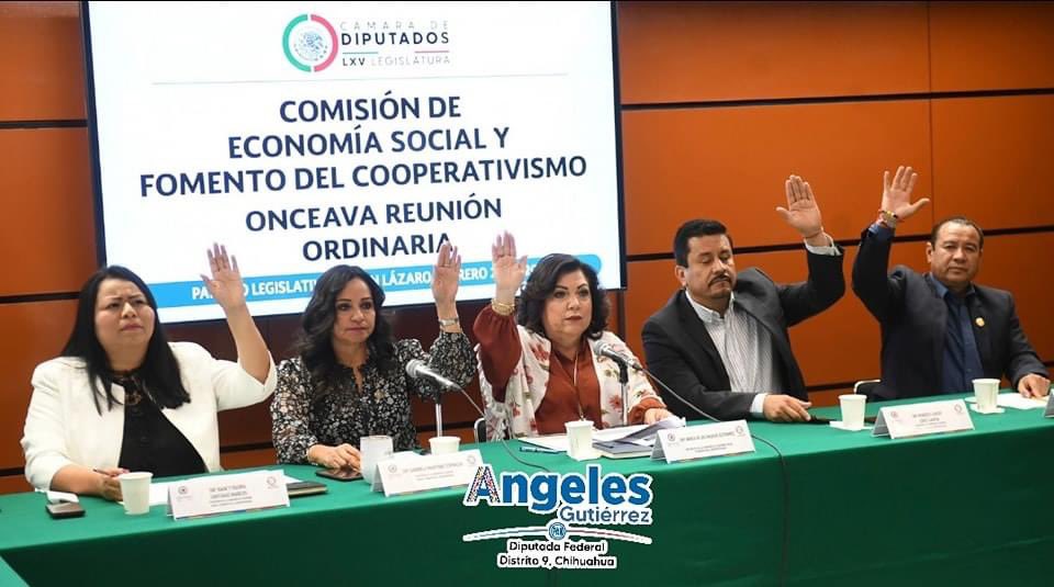 AngelesGtzChih's tweet photo. 🔵 #EnComisiones || Hoy presidí la Décima Primera Reunión Ordinaria de la Comisión deEconomía Social y Fomento del Cooperativismo dónde se dió lectura, discusión y en su caso aprobación al Tercer Informe Semestral de nuestra Comisión entre otras actividades.
👉 #DiputadaFederal https://t.co/stjee0DrLI