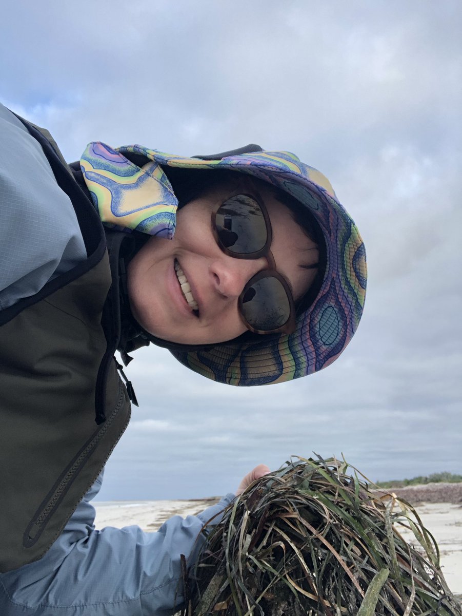 Happy #WorldSeagrassDay from a remote island in South Australia 😊 There’s some pretty dense and diverse #Seagrass meadows around here if this beach wrack is anything to go by!
#Seagrass
#BlueCarbon
#WomenInSTEM