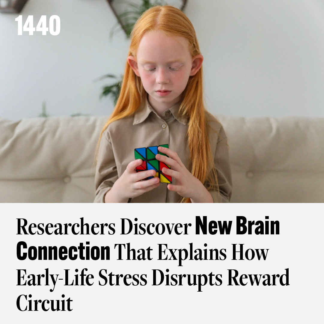 1440_Daily's tweet photo. A recent discovery has presented a new avenue for treating mental illness.

Let's dive in to learn more. 👇 https://t.co/FiECXa6Zh3