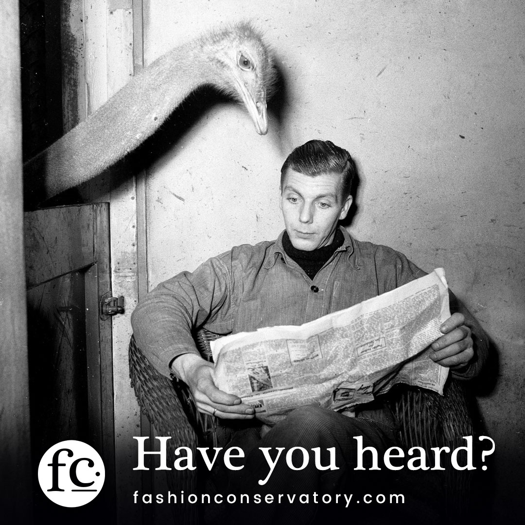 Fashion Constellate tweet media