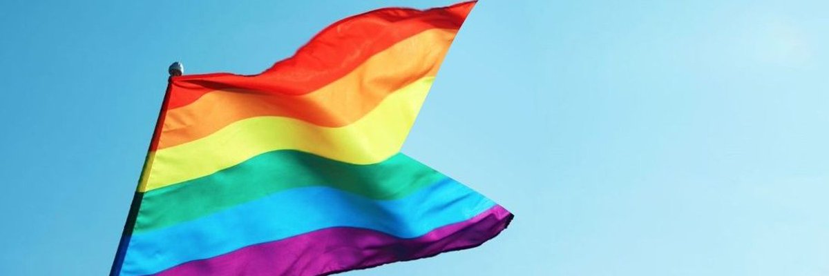 Anne Wallis ⚢🚺🇳🇿 tweet media