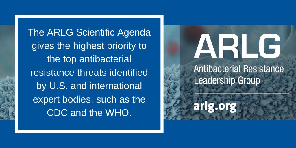 The #ARLGnetwork prioritizes 3 top areas of #ClinicalResearch | #GramNegative infections | Gram-positive #bacteria infections | Diagnostic evaluations. Learn more about our scientific agenda here: bit.ly/2Gz3W6o #antibacterialresistance