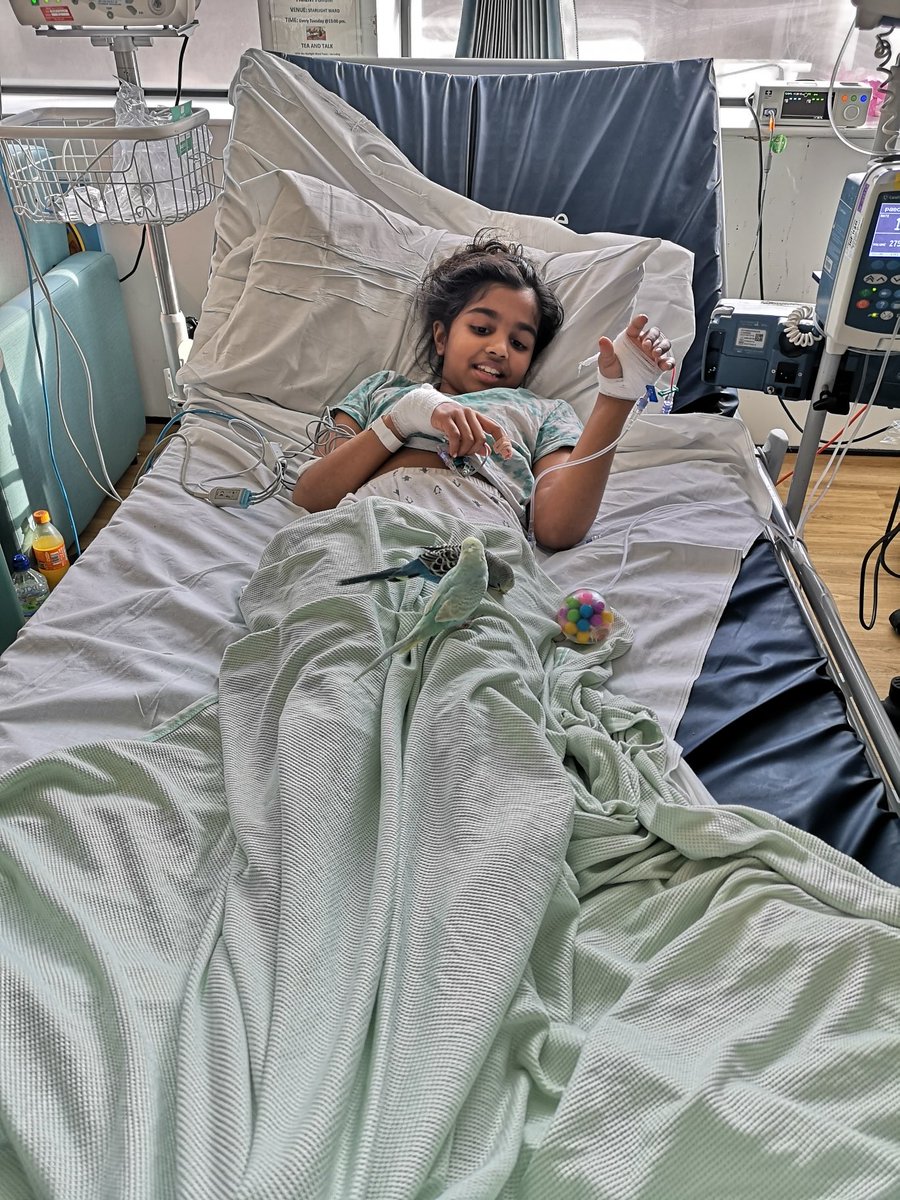 datt_colette's tweet photo. Sharing a few lovely photos (with permission) from a fabulous visit from #performingpets to our children’s areas last week.
Tmrw we have Joe the magician #patientexperiencematters @NorthMidNHS
@Suzanne02190370 @ClareOl00782662 @SarahHa88622902 https://t.co/oeSETWsbqP