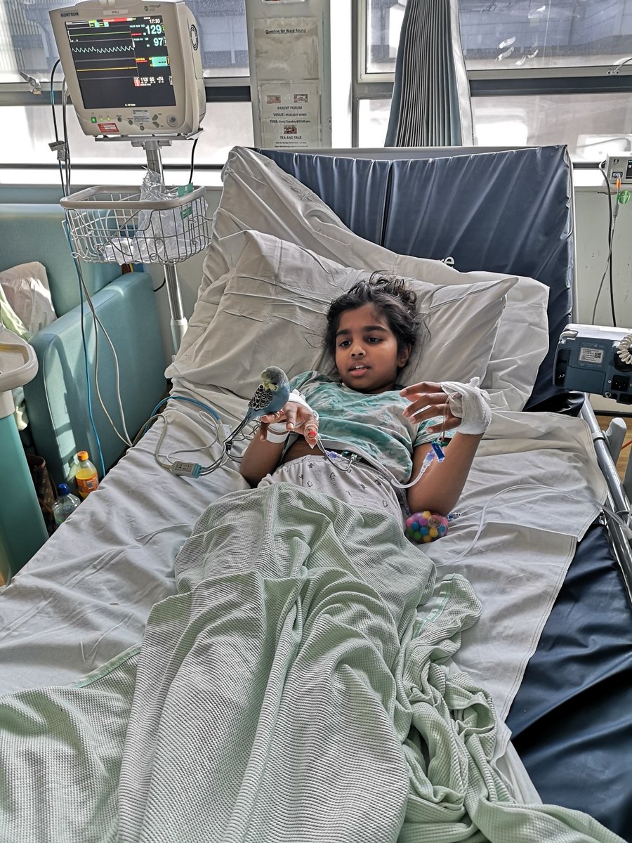 datt_colette's tweet photo. Sharing a few lovely photos (with permission) from a fabulous visit from #performingpets to our children’s areas last week.
Tmrw we have Joe the magician #patientexperiencematters @NorthMidNHS
@Suzanne02190370 @ClareOl00782662 @SarahHa88622902 https://t.co/oeSETWsbqP