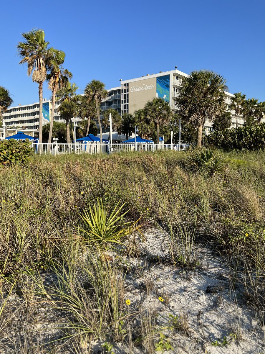 T-minus 20 hours until <a href="/SkywardiCon/">Skyward iCon</a> starts and we’re ready for our attendees! ⏰

Beautiful weather is in the forecast. 😎

Looking forward to tomorrow. Registration opens at 10:00  am.🤩

@TWResorts