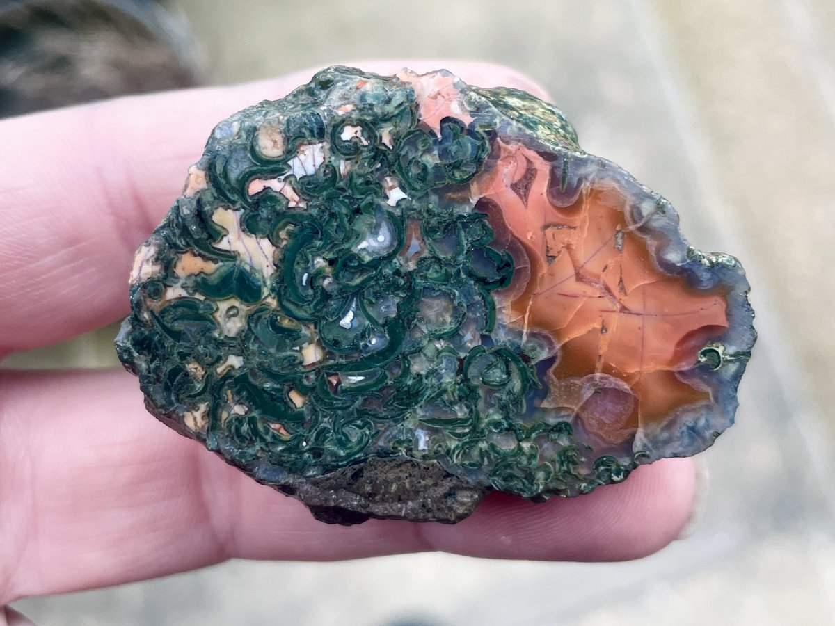 Dreamy moss agate 💚 I love that because agates were super popular during the 19th century, and relatively abundant on some beaches here, people would call them scotch pebbles 🏴󠁧󠁢󠁳󠁣󠁴󠁿