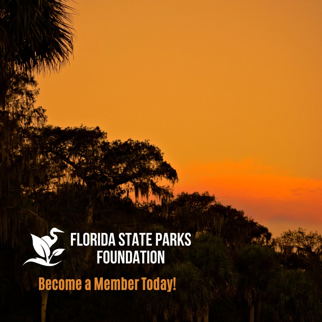 Become a member of the Florida State Parks Foundation and help us preserve, protect, sustain and grow @FLStateParks for generations to come.

Link to purchase: bit.ly/41jZsc3

#FLStateParks #ExploreFLParks  #LoveFL