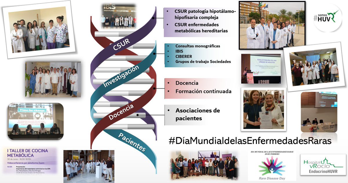 EndocrinoHUVR's tweet photo. 💜💚💙#diamundialdelasenfermedadesraras
#RareDiseaseDay
🔹visibilidad, concienciación
🔹docencia, formación
#CSUR patología hipofisaria, enf. metabólicas congénitas
Red Europea Referencia
#EndoERN #metabERN
#somosHUVR
@ibis_sevilla @HospitalUVRocio
https://t.co/vCoeqsVH7G https://t.co/GTKxjvfouc