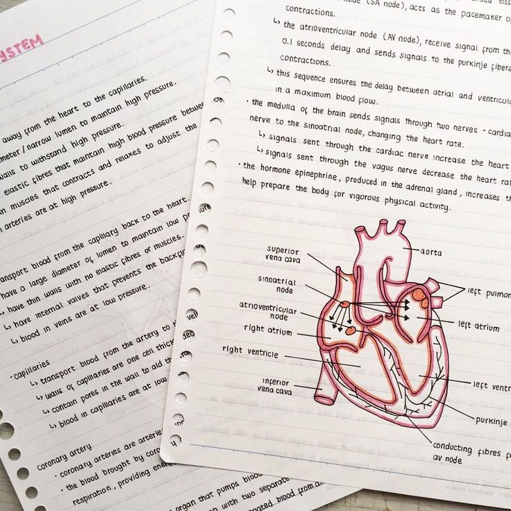 minjibears's tweet image. 🔎: #studytwt #studytwtbr #langtwt. ༊·˚
 ✦  lia, ela/dela.
 ✦  2°E.M.   07
 ✦  vestibulanda de med
 ✦  foco: paulistas &amp;amp; inglês/francês fluente.
    
☎️: bangtan, new jeans, collector e livros

↺ / ♡ = moots!!