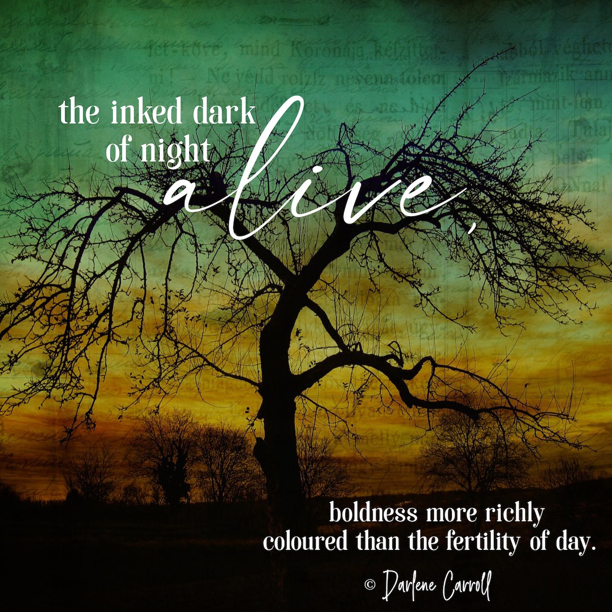 dajc_thoughts's tweet photo. the inked dark of night alive…
by: Darlene Carroll

#poeticplayground #practicewriting #poetry #sunandmoon #nocturnaldelights #writing #ink #alive #dayandnight #colourmyworld https://t.co/p7601Tvyk4