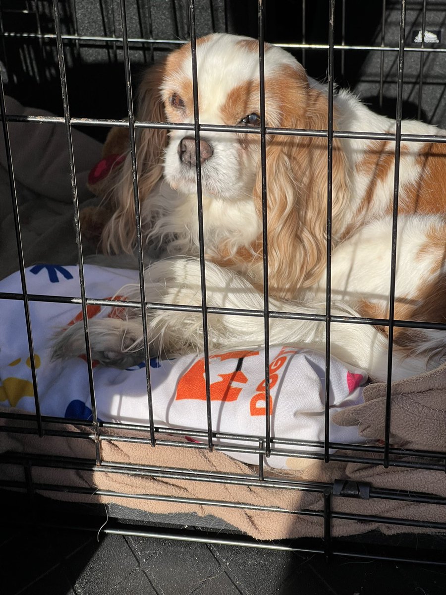 Went for a short drive today.