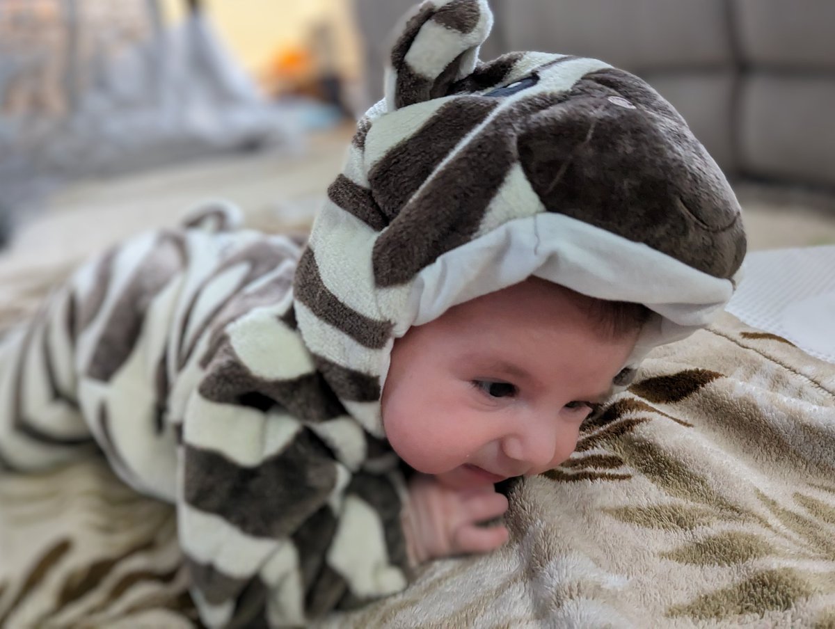 @EMoriartyWade @myTomorrows @Colin_Hung @JoeBabaian @stacy_hurt @TerriEllsworth @Chris_Anselmo @purplemamabear At around 8:30 tonight I will be wrestling this zebra trying to convince him that if he goes to sleep he won't miss anything and tomorrow is a whole new day. Sorry!
Boy is #RareDiseaseDay2023 being celebrated differently this yr