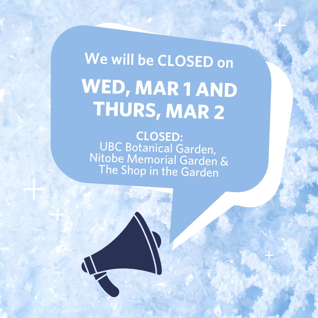 UBC Botanical Garden and Nitobe Memorial Garden will be closed on Wednesday, March 1st and Thursday, March 2nd, due to the current snowy weather conditions. The Shop in the Garden remains closed until March 3rd, 2023.
