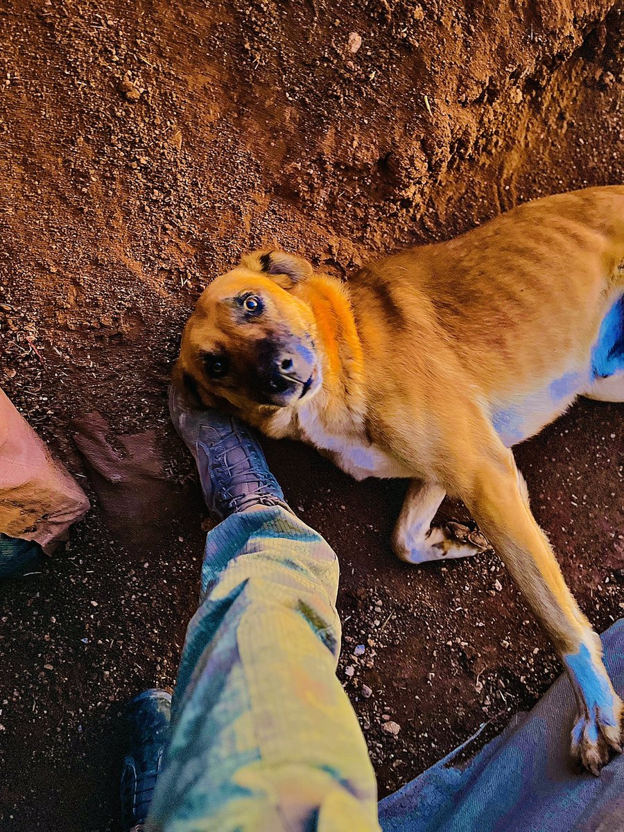 Bu dağlarda Bni hiç yanlız bırakmayan ☺️