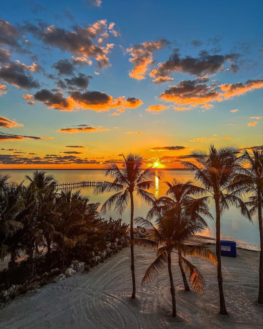 cheecalodge's tweet photo. Some moments are golden 🌴🌅

📸 erin.savvy | #CheecaLodge #LivetheLegend #LoveFL https://t.co/ozPbJ2UpRm
