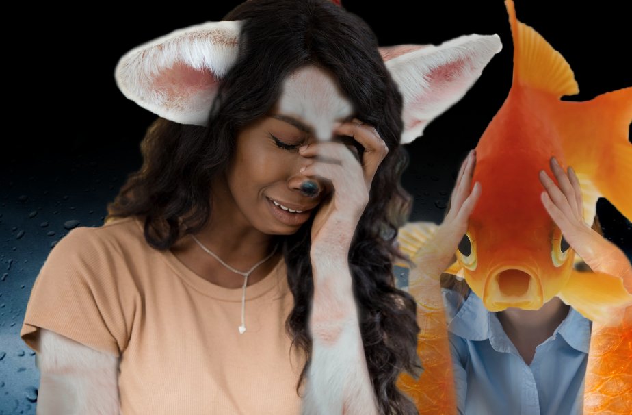 Art at the HVA tweet media