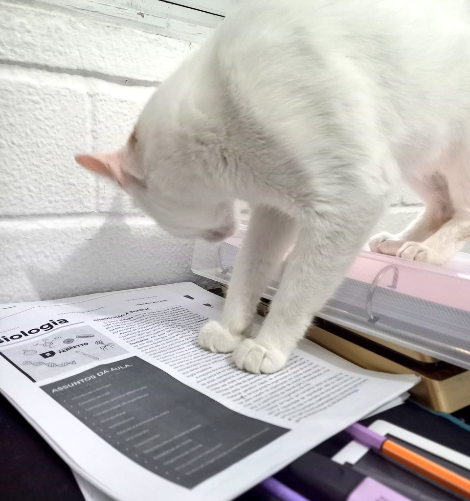 toriestuda's tweet photo. [ 🍒 study log ] 28.2

hj eu estudei pouquinho pq tô me acostumando com a rotina nova e encontrando meu método de resumos. testei o google docs e curti. descobri que além das aulas funciona pra mim pesquisar o máximo sobre assunto e incluir as infos novas no resumo. https://t.co/Xnp5ZYVpo7