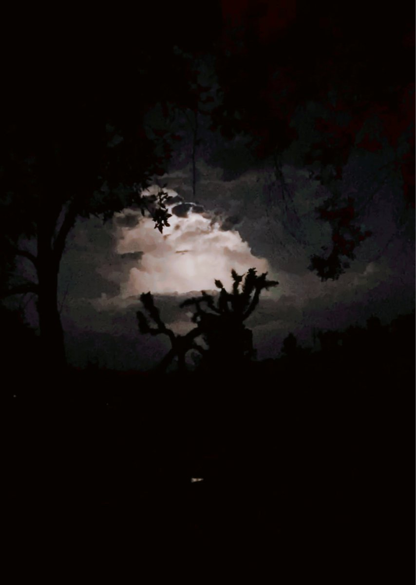 I've Seen Some Beautiful Night Skies, You Will Too 😉#Night #NightTime #FarmLyfe #MoonLite #Shadows 
#Trees #Clouds #TheLightWillOutShine #Sillhouette #UnderTheMoon #TheCool #JoshuaTree