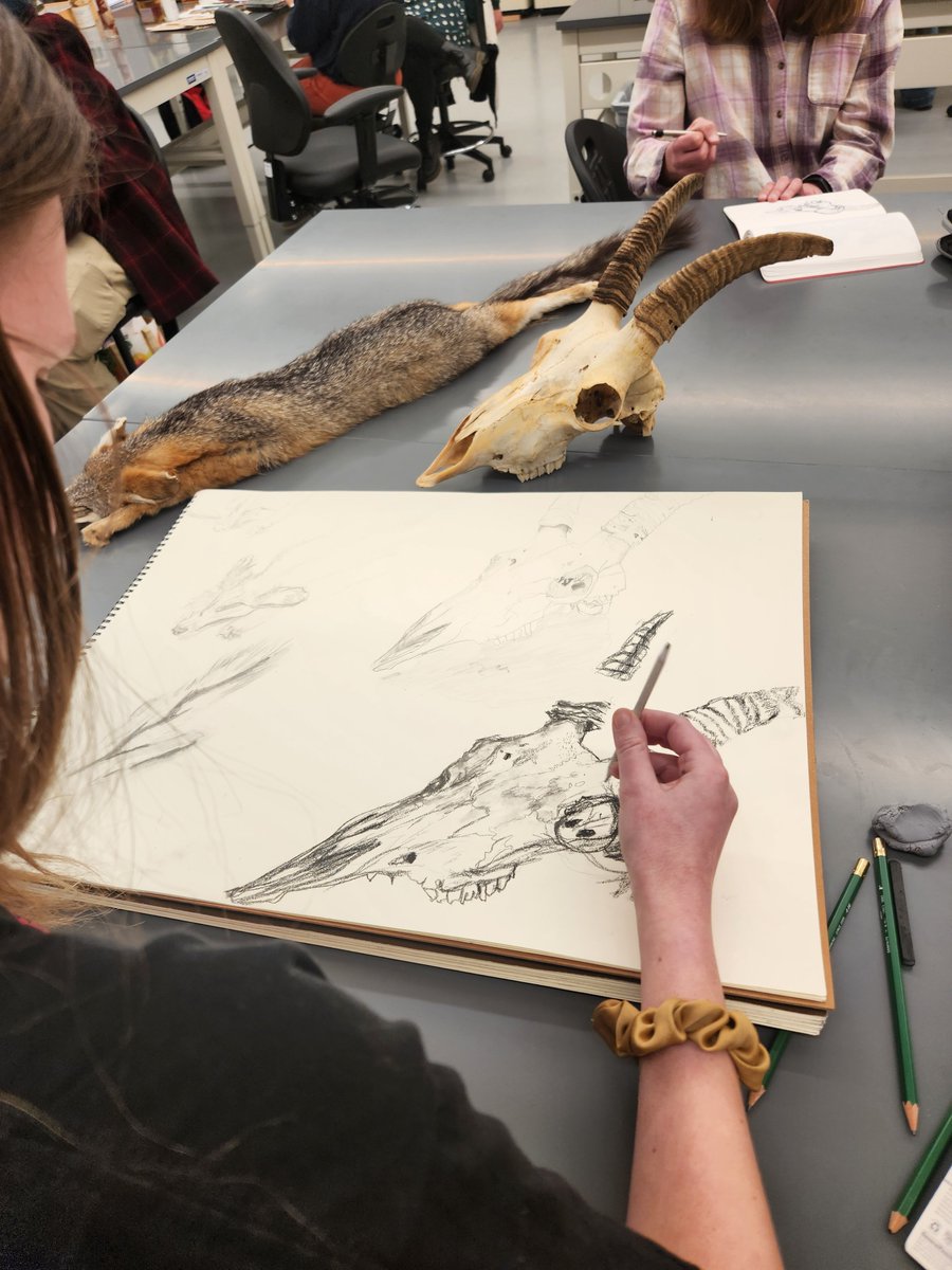 MSBherps's tweet photo. Did you miss Studio Night last Friday? No worries! We'll be having two more Studio Nights on March 24th and April 21st, click the link in our bio to get added to our email list and get notice of when sign up opens for March (spots filled up within an hour last time!) https://t.co/cM8MWJKfKn