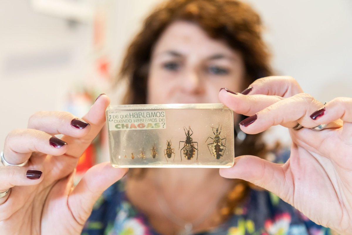 Capacitación de Chagas Vectorial como problemática ambiental en Viedma, Río Negro. 

👇 Sigue en hilo