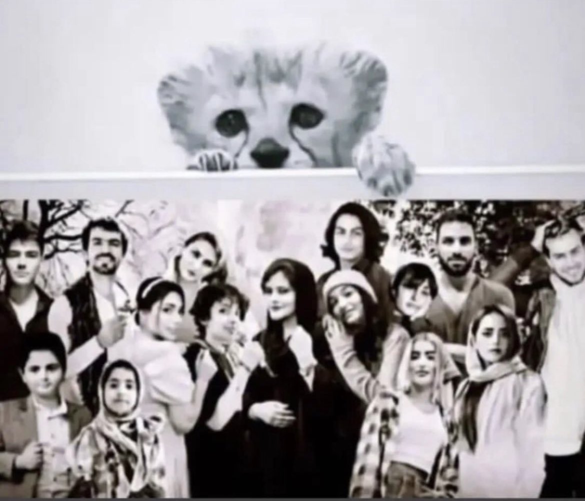 RIP Pirouz 🥺

پیروز هم رفت 🥺
#مهسا_امينی‌ 
#زن_زندکی_آزادی