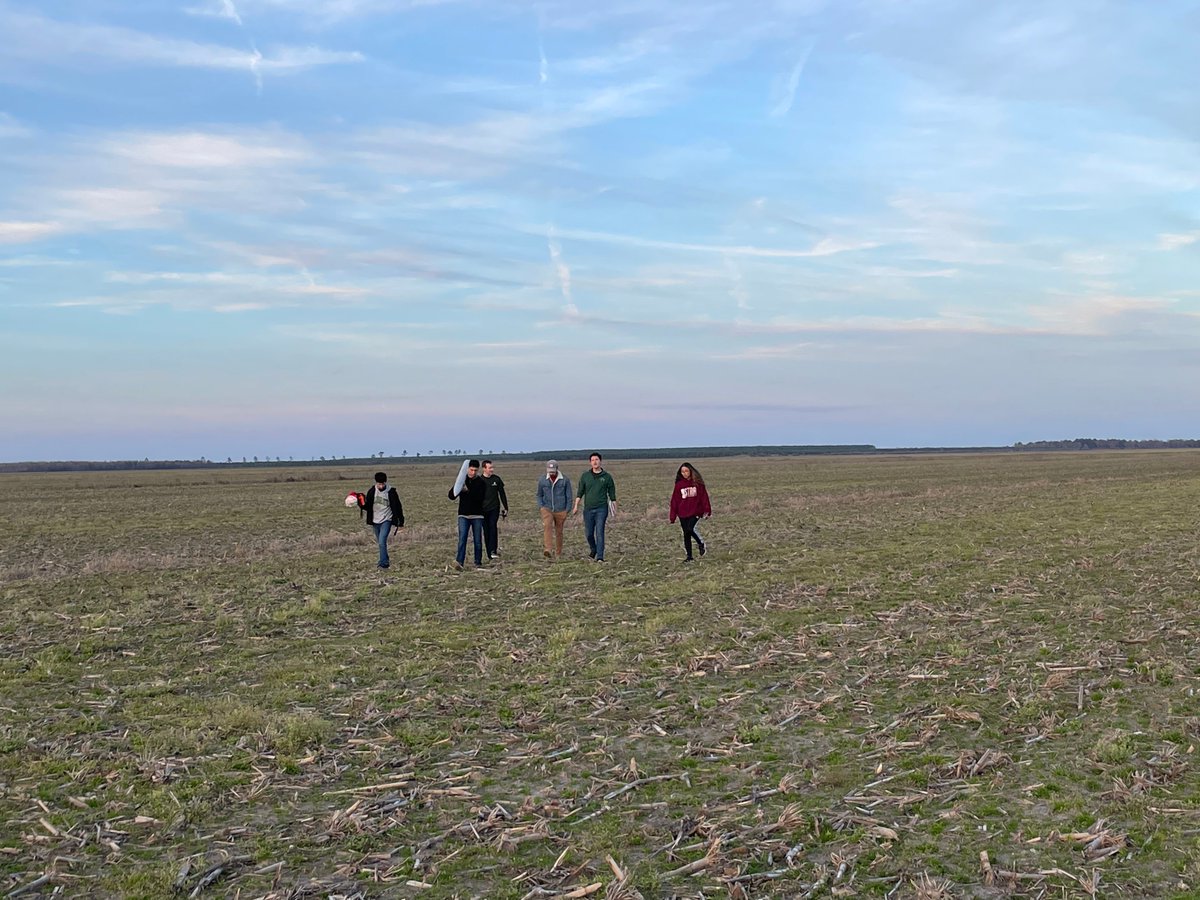 49erRocketry's tweet photo. 3...2...1...Lift off! 🚀 The 49er Rocketry Team is soaring to new heights with their latest rocket launch!

#unccharlotte #uncc #engineering #studentlaunch #rocketry #unccharlotte #goniners #nasa #ncspacegrant #stem #aerospace https://t.co/Hw9eUdUiBI