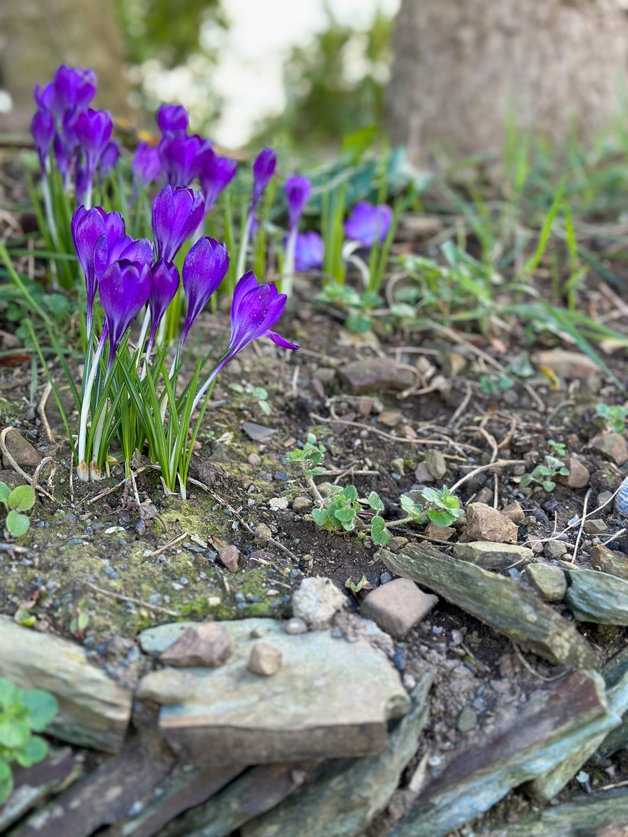 Wooldown Holiday Cottages tweet media