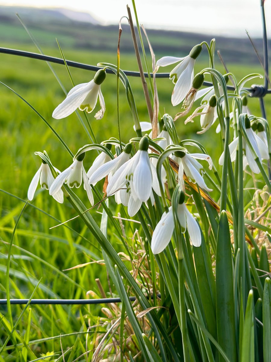 Wooldown Holiday Cottages tweet media