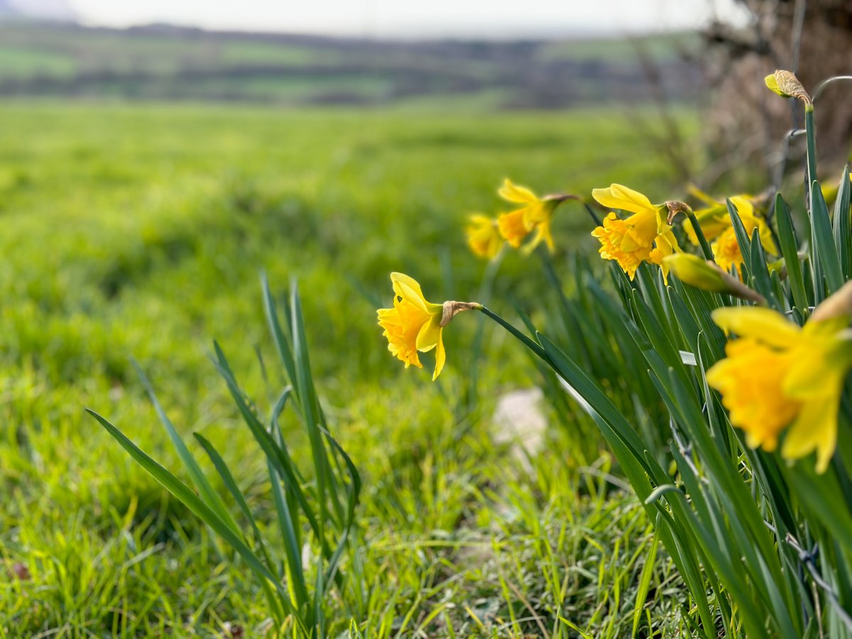 Wooldown Holiday Cottages tweet media