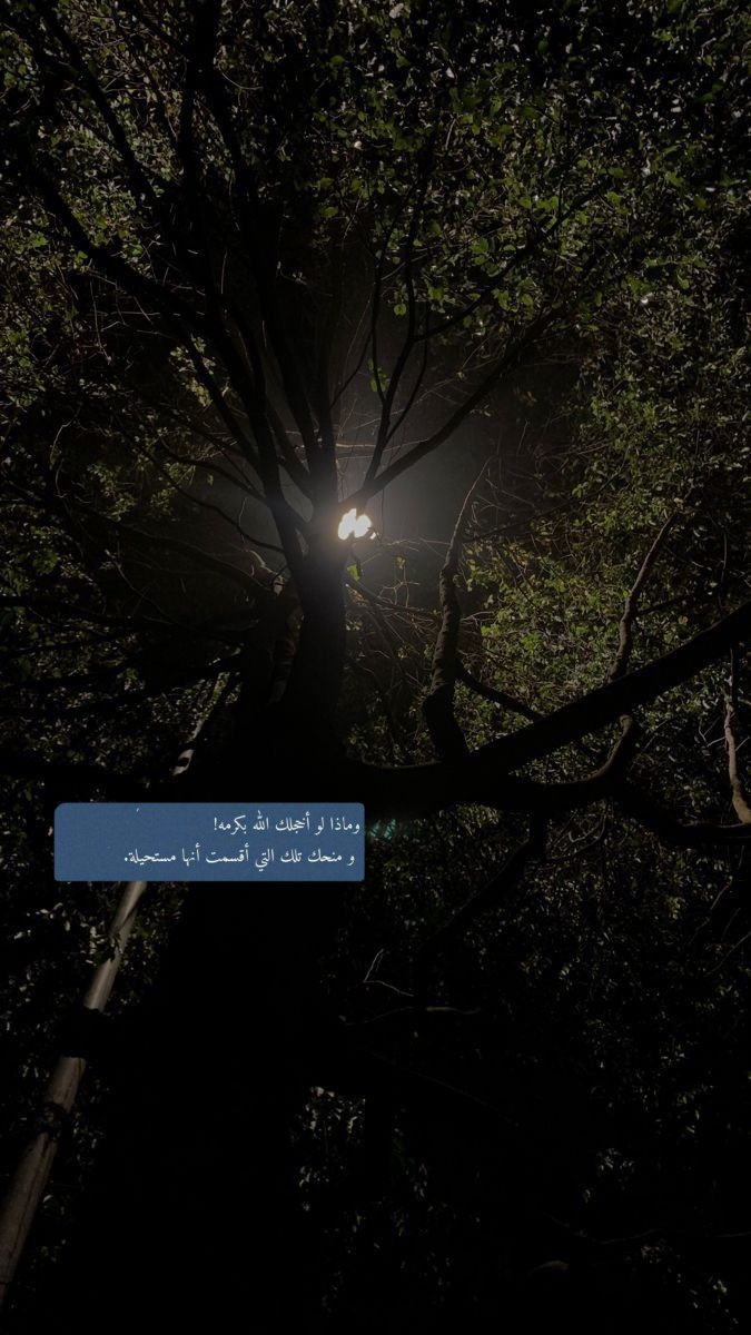 mon19950's tweet photo. "وماذا لو أخجلك الله بكرمه ومنحك تلك التي أقسمت أنها مستحيلة." https://t.co/YV2Opv5cL6
