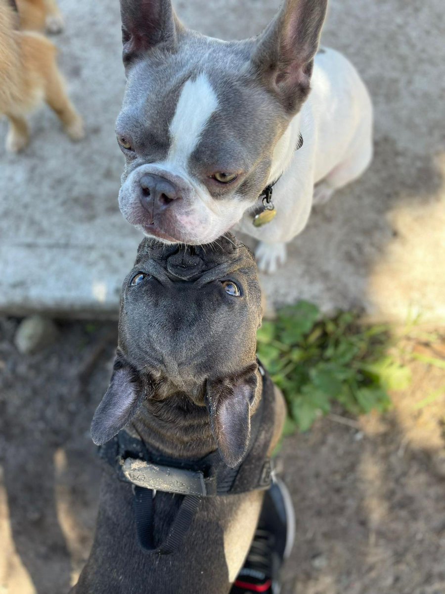 Frenchy kiss ❤️❤️