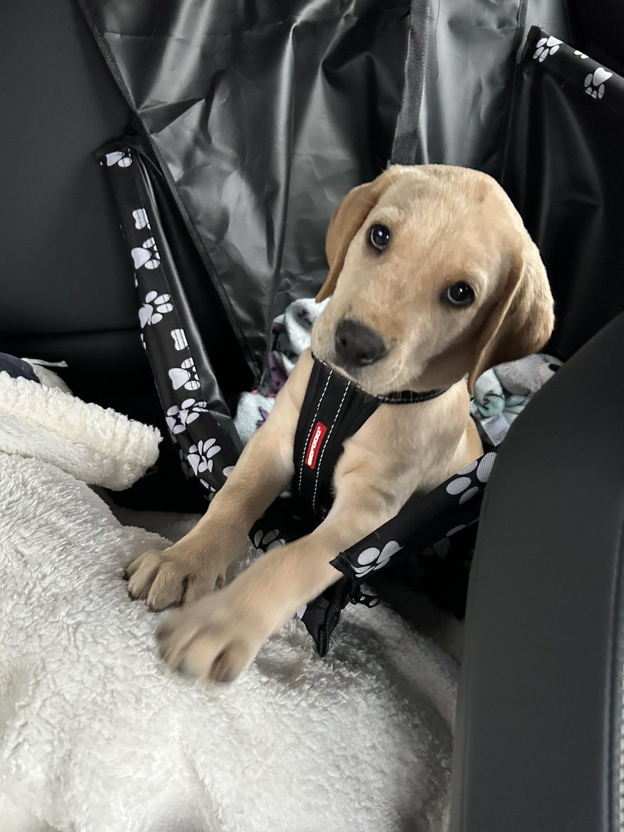 Kelly Milward tweet media