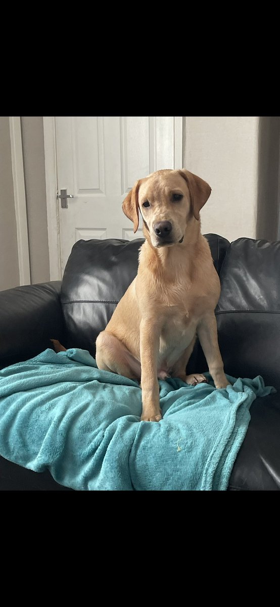 Kelly Milward tweet media