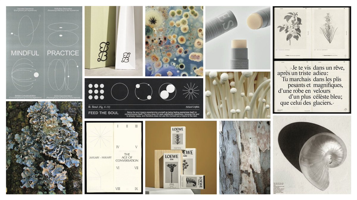 Moodboard Monday for a brand that's meant to feel orderly, approachable, biological and grounded #moodboardmonday