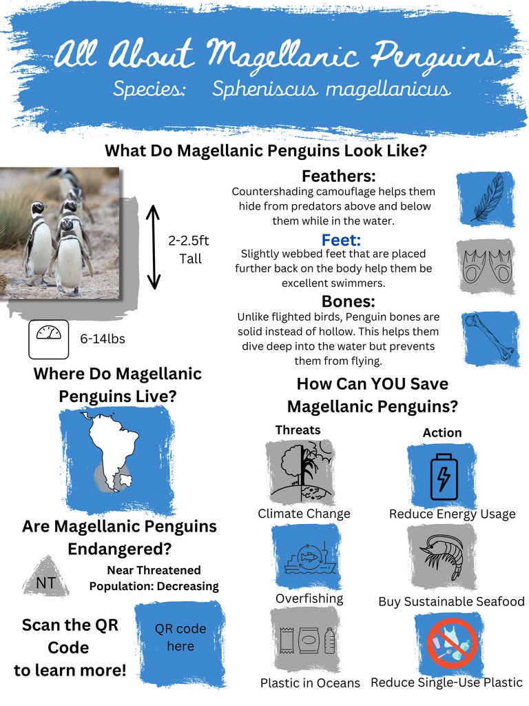 potterparkzoo's tweet image. We're looking to spark your interest in our new conservation education station design. We want to know your opinion and hear what you think about our infographics! Which one of these would inspire you the most to approach the education station? Let us know your thoughts!