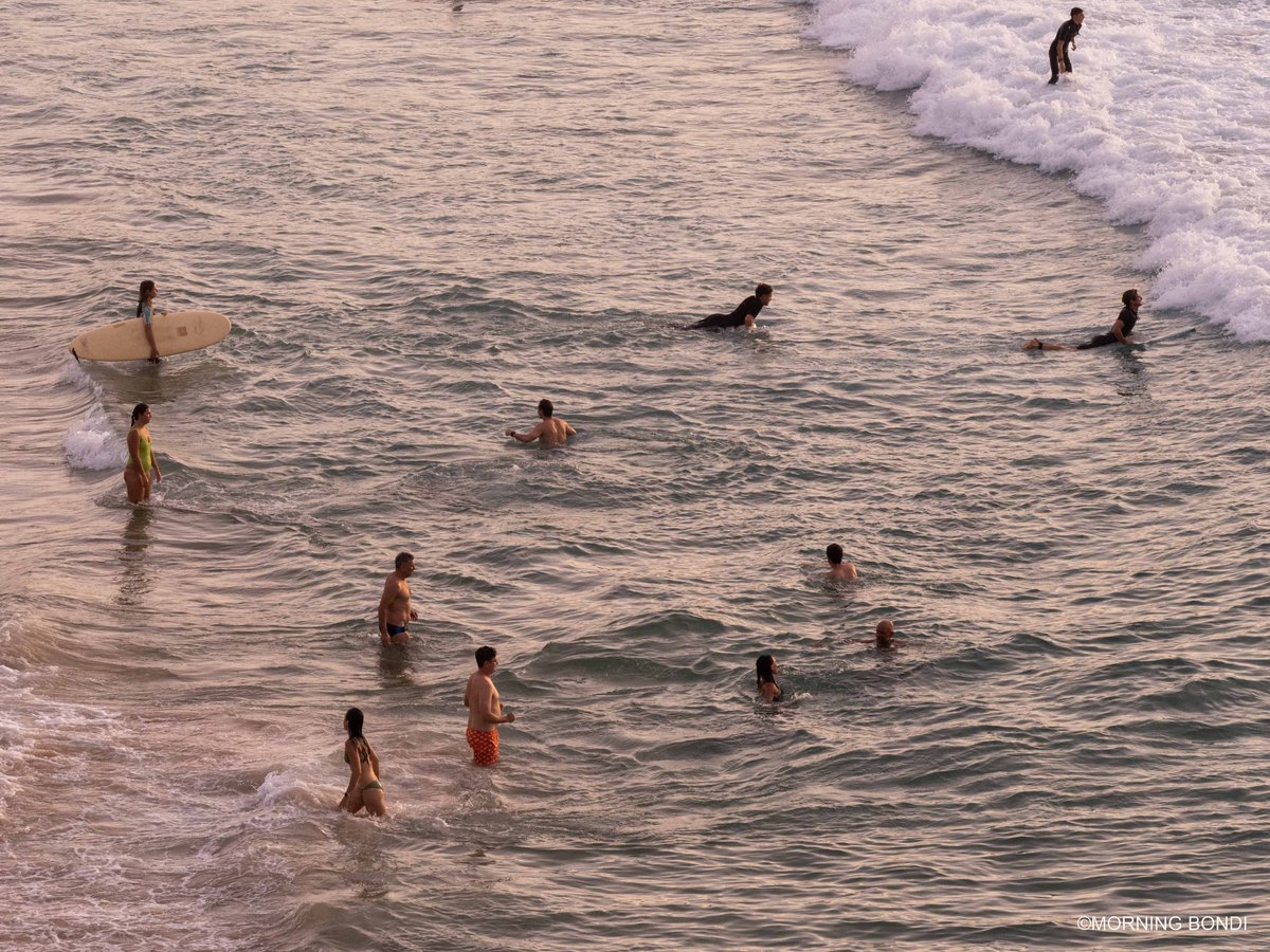 'Autumn Sepia' is up on the blog. First day of Autumn in Australia and we were greeted by the perfect light to mark that first day - a sepia/brown leafy tone. morningbondi.com/blog-1//autumn… #bondi #seeaustralia #ilovesydney #bondibeach