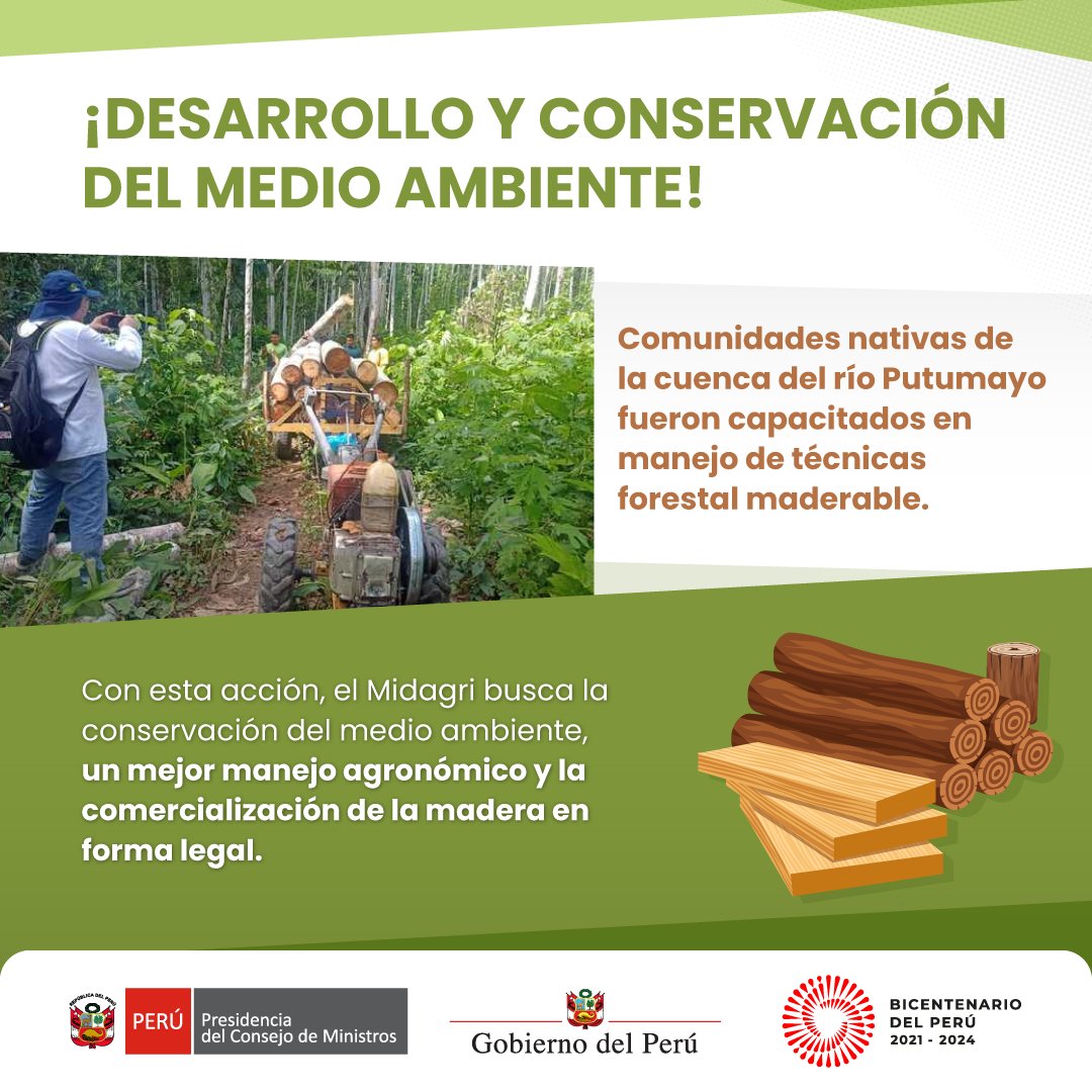 pcmperu's tweet photo. 🌳 ¡Desarrollo y conservación del medio ambiente! El @midagriperu capacita a comunidades nativas en el manejo de técnicas forestal maderable.

Revisa los detalles aquí  🗞️ https://t.co/opO2e1o0Wn https://t.co/Vdli1xnayR