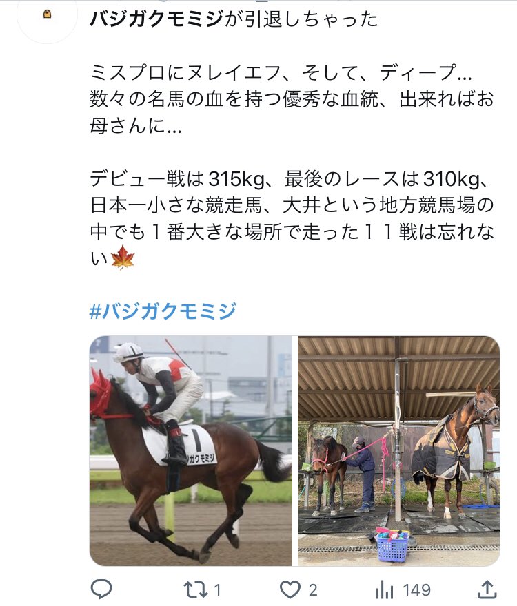 日本オンライン】 名馬 生写真 写真集 レース写真 種牡馬 競走馬