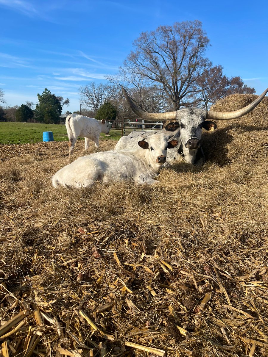 Storm and her mini me