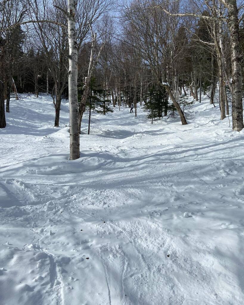 Catherine Paradis tweet media