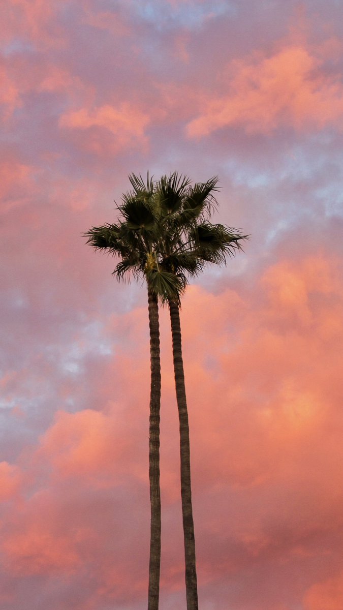 Keep the clouds coming! 🌴