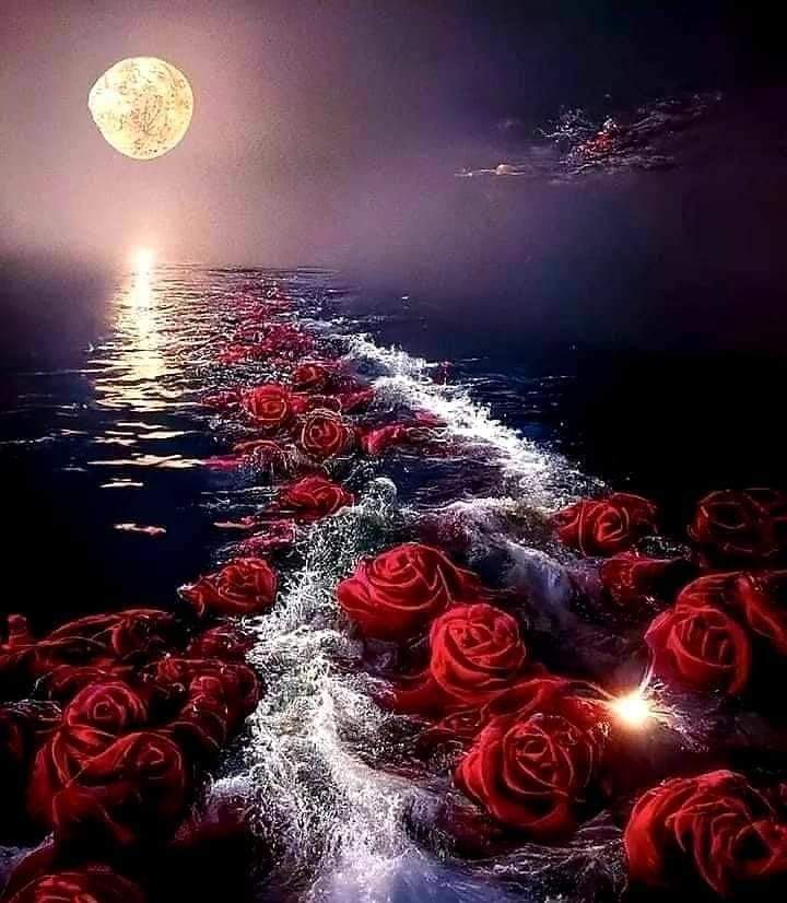 Alejand09750939's tweet photo. #buenasnoches
Sonríe, un café y dile Te quiero mucho a la persona que es tu debilidad pero también tu fortaleza ❤️
Seamos una huella positiva en la vida de los demás. Una luz para quien lo necesita. 
Iluminados por la Luna un corazón le lleva rosas rojas a su amor ⚘️
Te extraño https://t.co/QME2ZKG3Dy