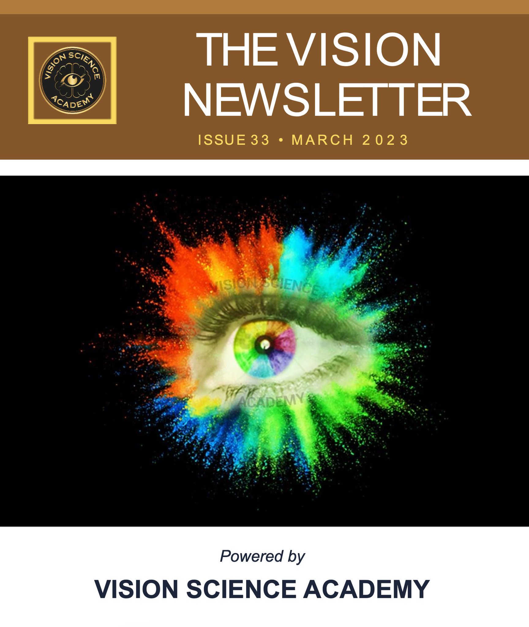 Vision Science Academy on Twitter "RELEASED! The VISION Newsletter