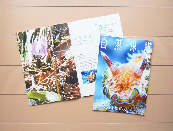 むらまつちひろ「eyes-Ⅰ」0号 【正規品直輸入】 - moroshka.com