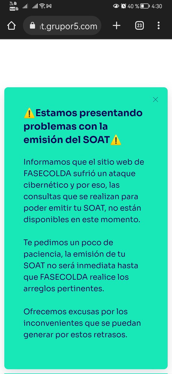 raquelortegab tweet media