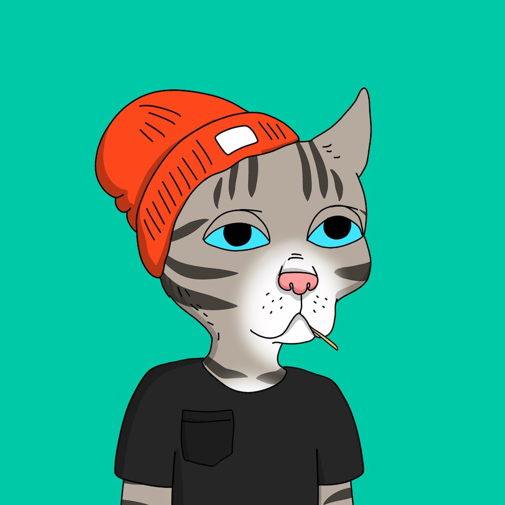 RookDPO's tweet image. The gang is still here #keepitgutter