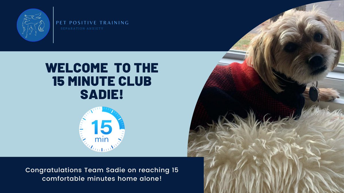 PetPositiveTra9's tweet photo. Welcome to the 15 minute club Sadie! #separationanxietyindogs #homealone #dogsoftwitter #doglovers https://t.co/TqOa8XTnHz